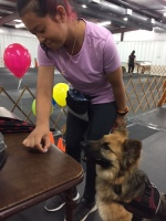 Canine Good Citizen Training Fayetteville NC